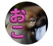 675729986