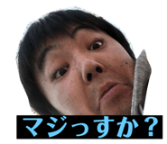 67573118