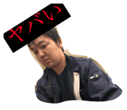 67573120