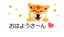 67573280