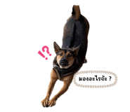 675741937
