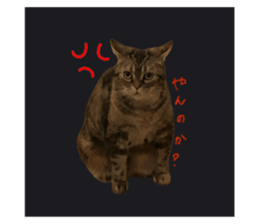 675756696