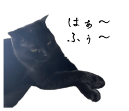 675769031