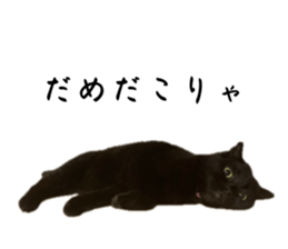 675769032