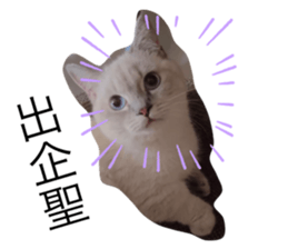 675772349