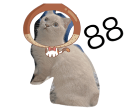 675772350