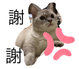 675772360