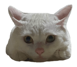 675772512