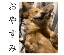 675773119