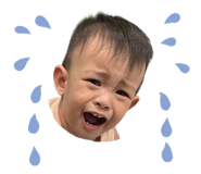675783913