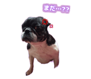 675787107