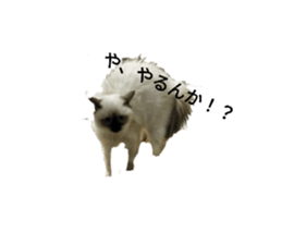 675790167