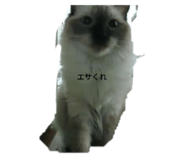 675790172