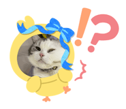 675793027