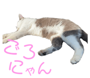 675794360