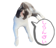 675794363