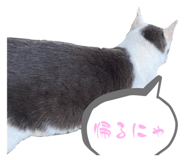 675794364