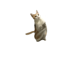 675796754