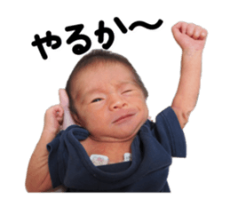 675802786