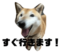 675803682