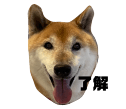 675803685