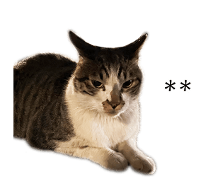 675813180