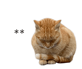 675813182