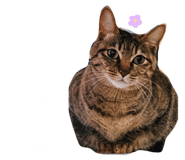 675816092