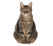 675816103