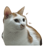 675816117