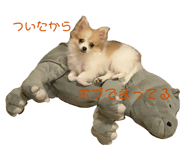 675829902