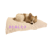 675829905