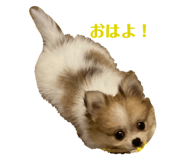 675829908