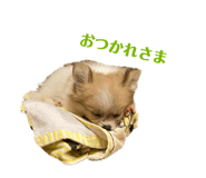 675829913