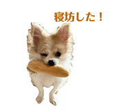 675829914