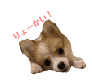 675829915