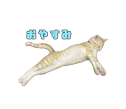 675835511