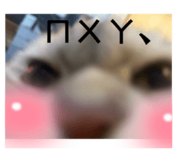 675837301