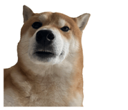 675848951