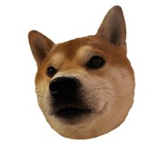 675848955