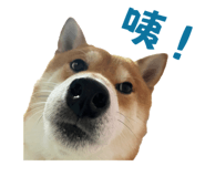 675848956
