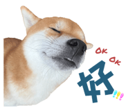 675848958