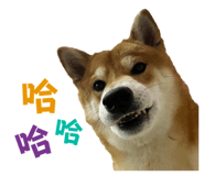 675848961