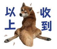 675848964