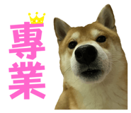 675848965