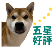 675848966