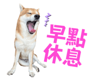 675848967