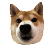 675848969