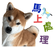 675848970