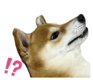 675848973